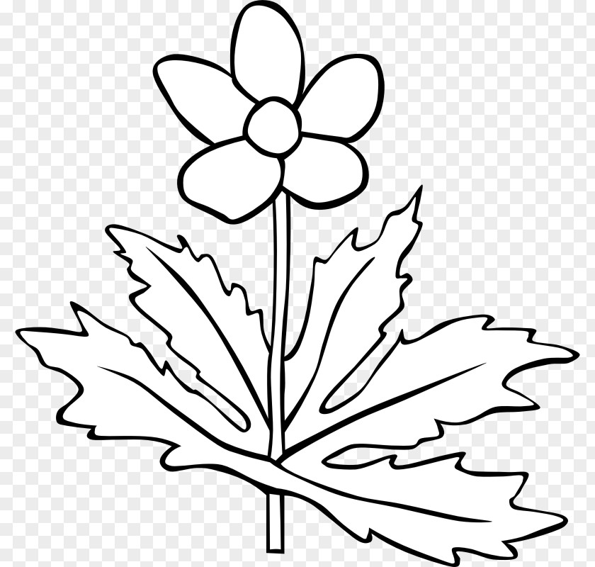 Black And White Plant Flower Clip Art PNG