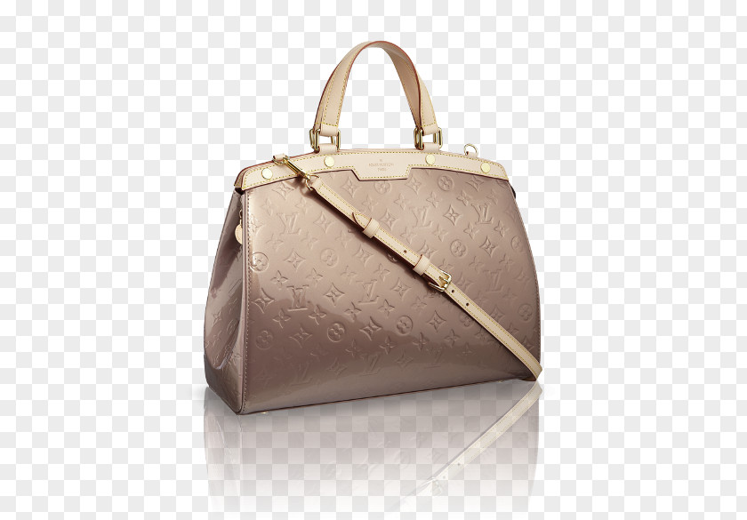 Chanel Handbag Louis Vuitton Leather Wallet PNG