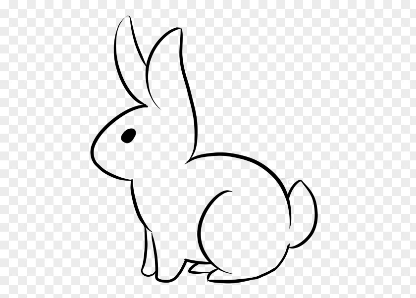 Rabbit Line Art Drawing Bugs Bunny Clip PNG