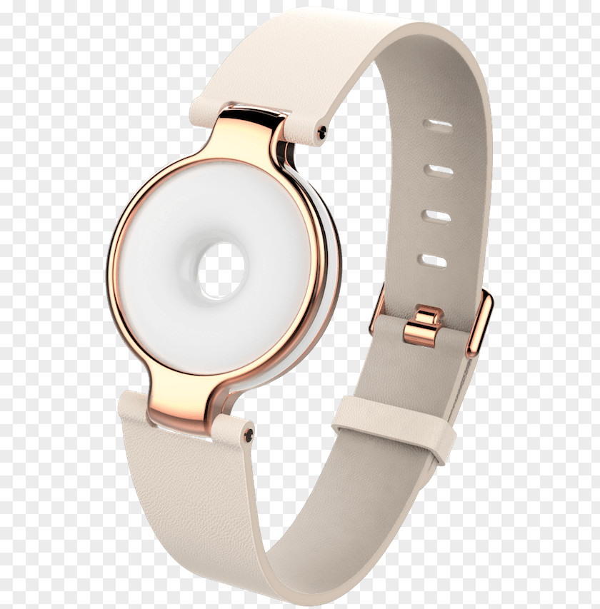 Wearable Technology Watch Strap Metal PNG