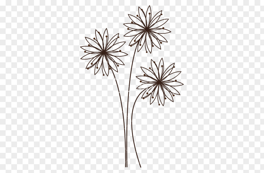 Wild Flowers Flower Common Daisy PNG