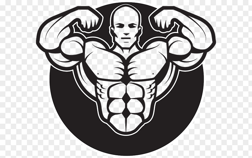 Bodybuilding Vector Graphics Clip Art Logo Graphic Design PNG