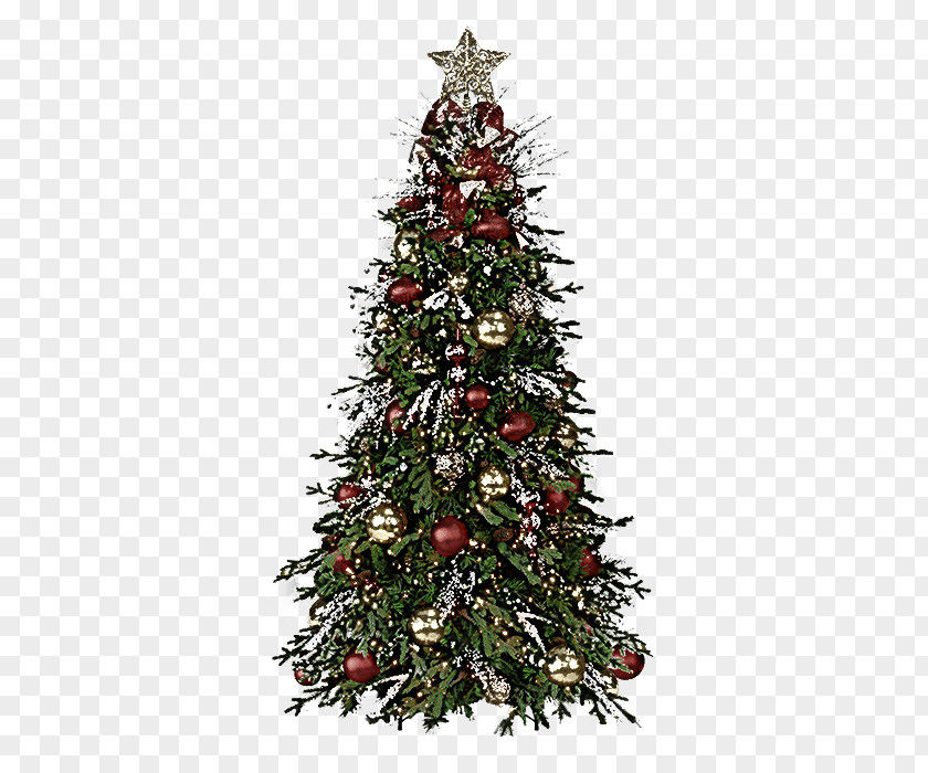 Christmas Tree PNG