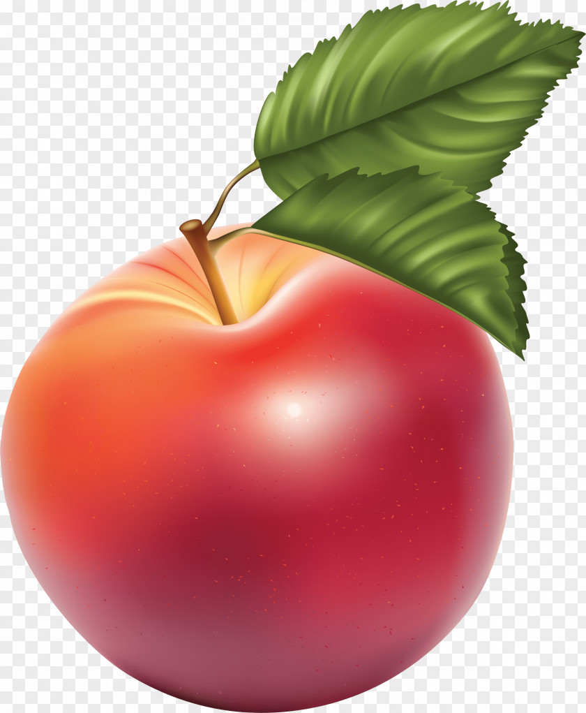 Creative Fruit Apple Clip Art PNG