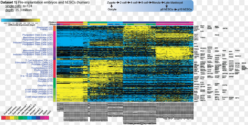 Discov Transcriptome RNA-Seq Computer Software DNA Microarray Data Set PNG