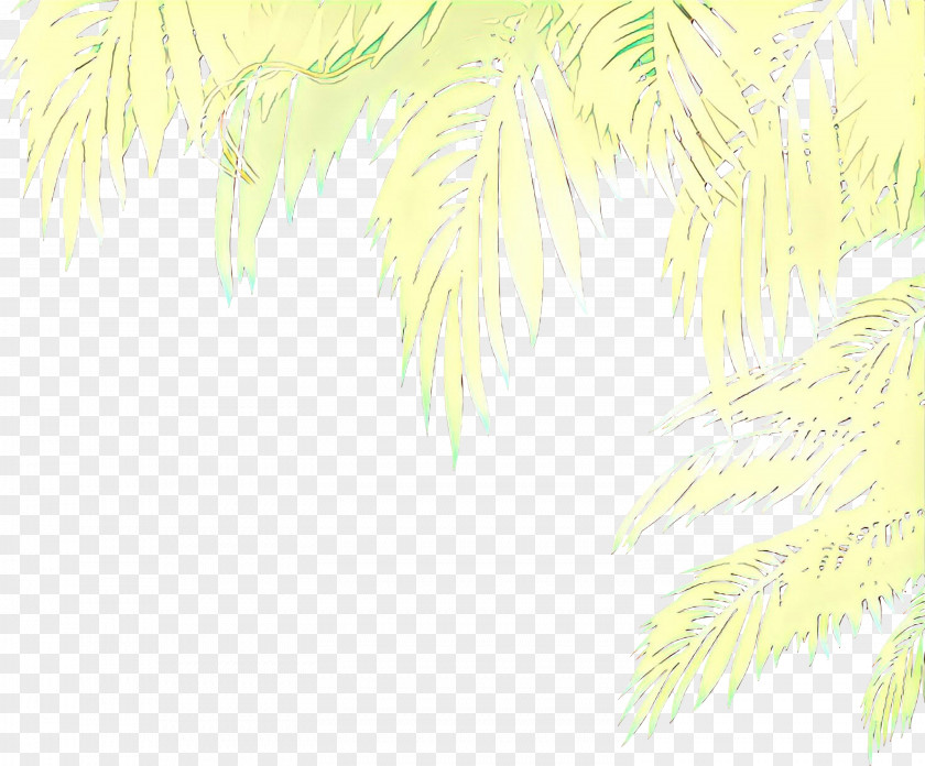 Plant Tree Yellow Leaf PNG