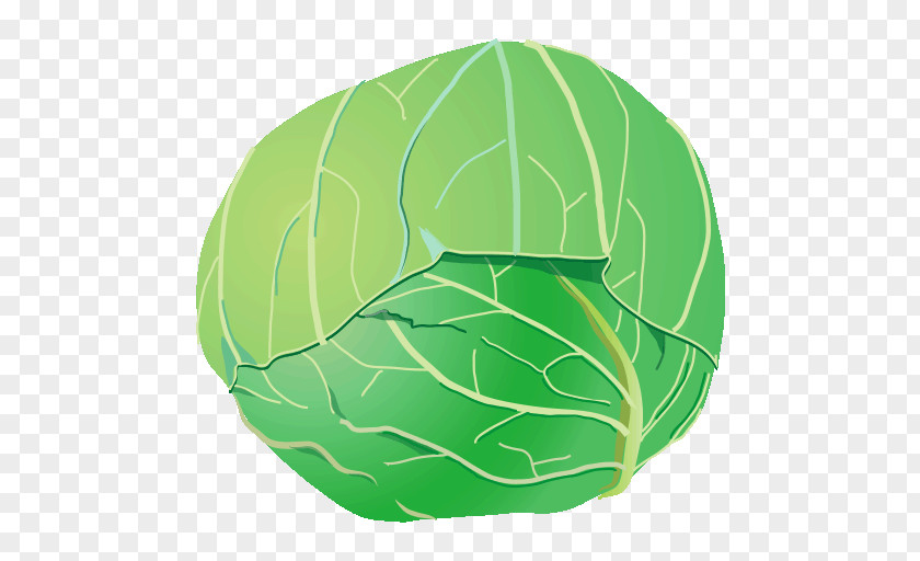 Cabbage Green PNG