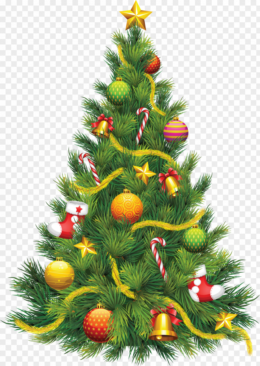 Christmas Tree Clip Art PNG