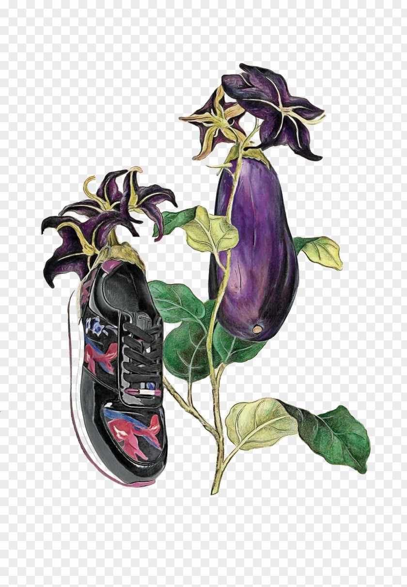 Creative Painting Eggplant Watercolor Drawing Illustration PNG