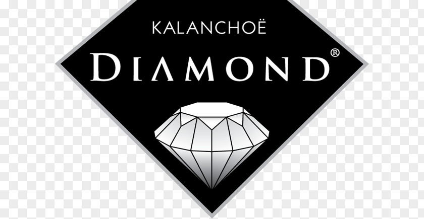 Diamond Logo Engagement Ring Jewellery Solitaire PNG