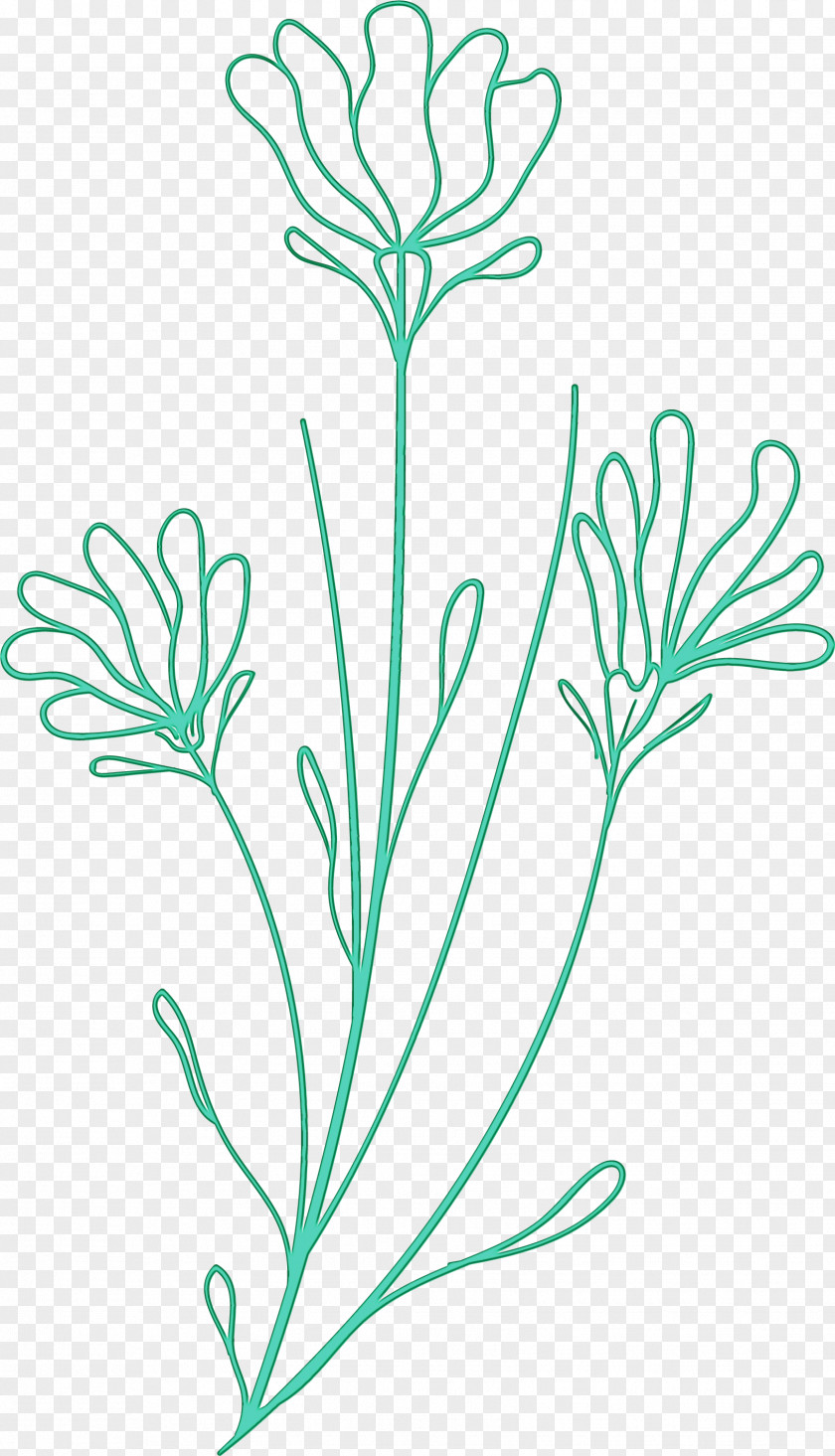 Floral Design PNG