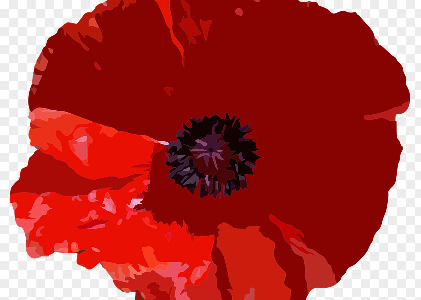 Genocide Remembrance Day Common Poppy Image Vector Graphics Stock Photography PNG