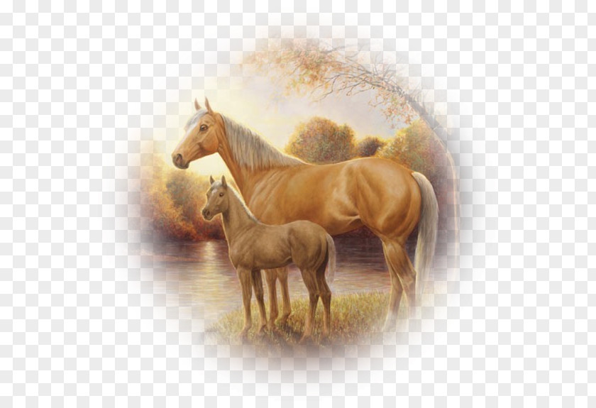 Pas De Deux Horse Drawing 2017 Kentucky Derby Pony PNG