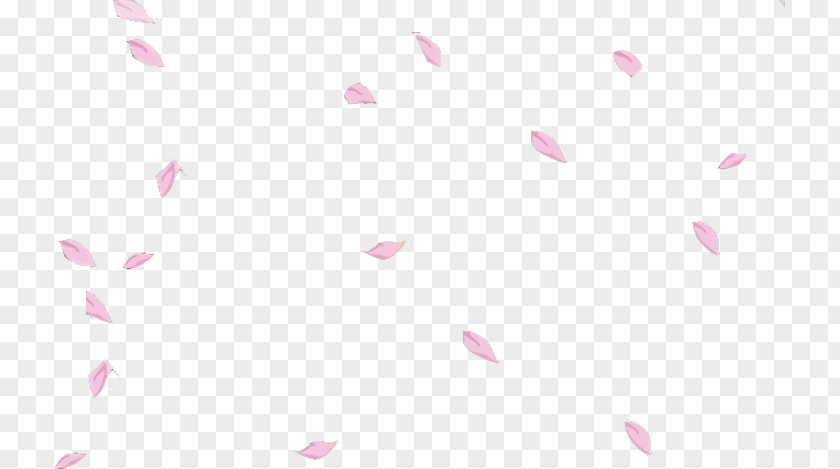 Petal Cherry Blossom Spoonflower Organization Branch PNG