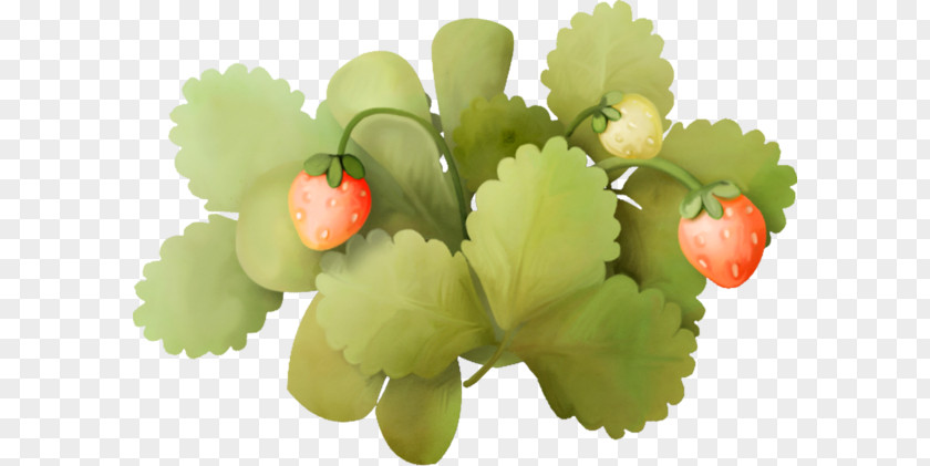 Strawberries And Green Leaves Strawberry Fruit Frame PNG