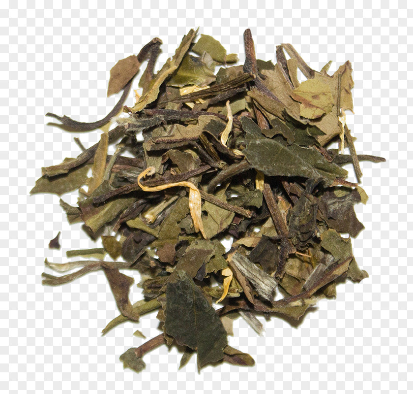 Tea White Bai Mudan Golden Monkey Nilgiri PNG