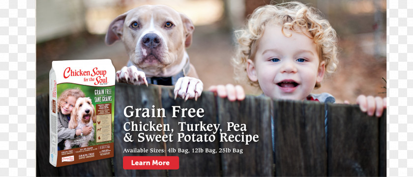 Chicken Dog Breed Soup Advertising PNG