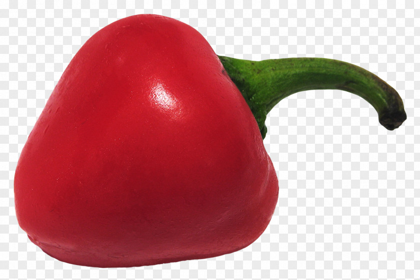 Chili Pepper Bell Paprika Pimiento Peperoncino PNG