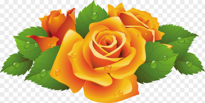 Rose Clip Art Vector Graphics Image Illustration PNG