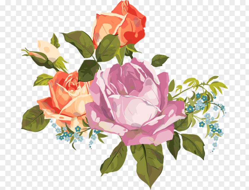 Rose Transparent Bouquet Garden Roses Flower Watercolor Painting Cabbage PNG