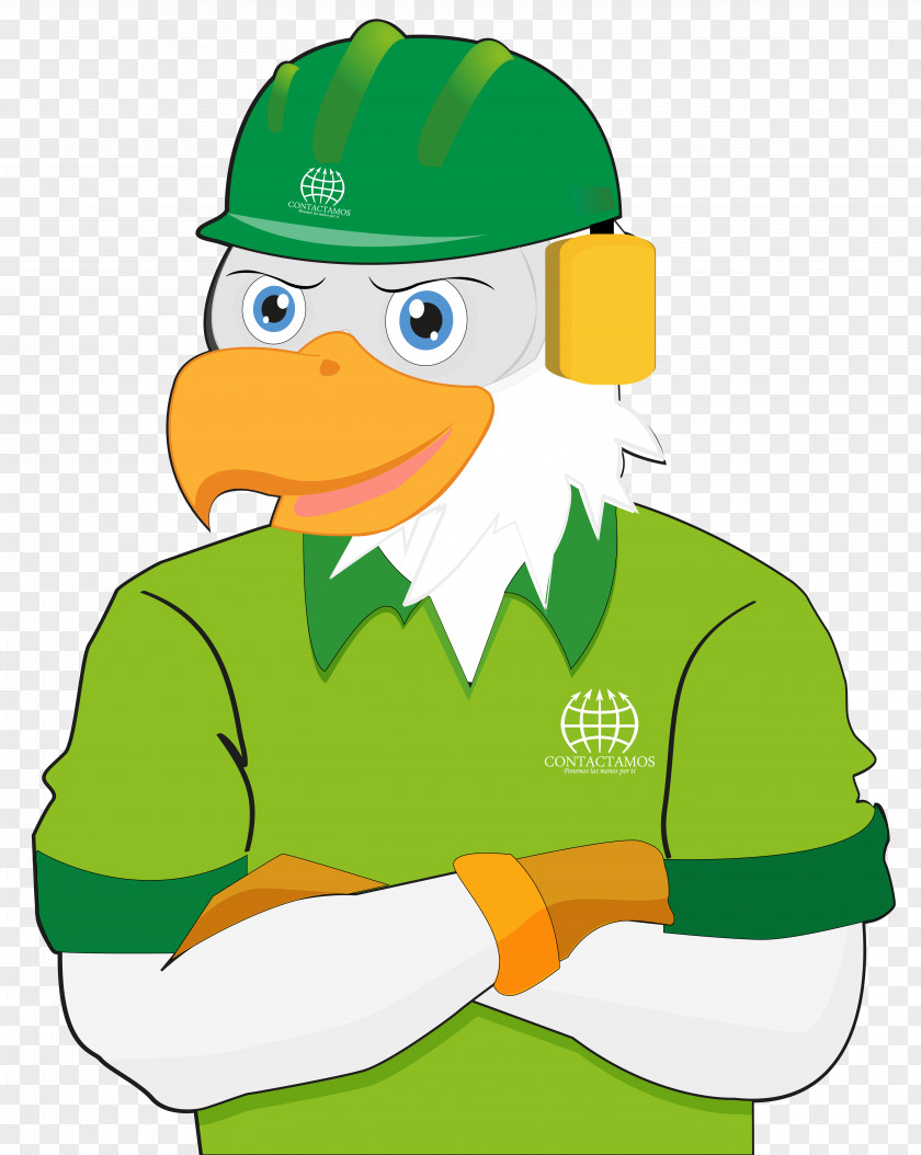 Server Beak Goose Duck Cygnini PNG