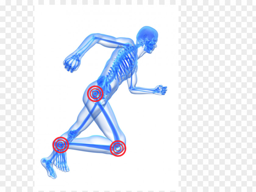 Skeleton Human Running Stock Photography Body PNG