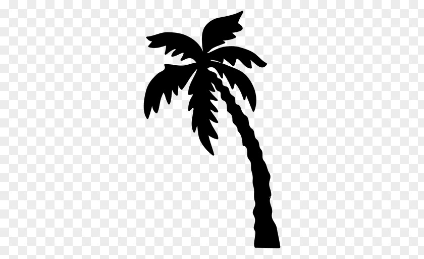 Tropical Silhouette Arecaceae Tree Drawing PNG