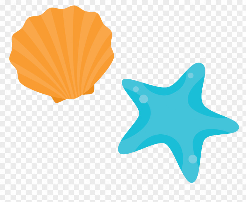Vector Cartoon Starfish Shell Shore Seashell Beach PNG