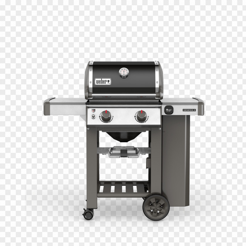 Barbecue Sauce Natural Gas Burner Propane Weber-Stephen Products PNG