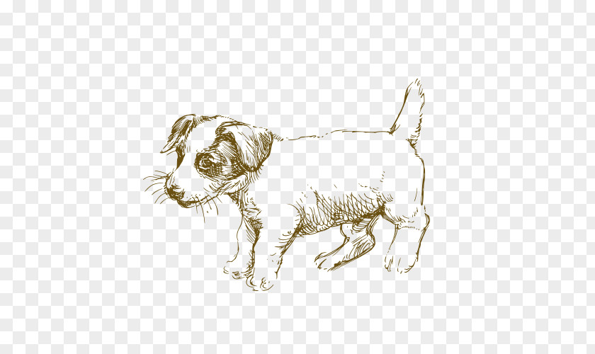 Dog Jack Russell Terrier Siberian Husky Puppy Drawing PNG