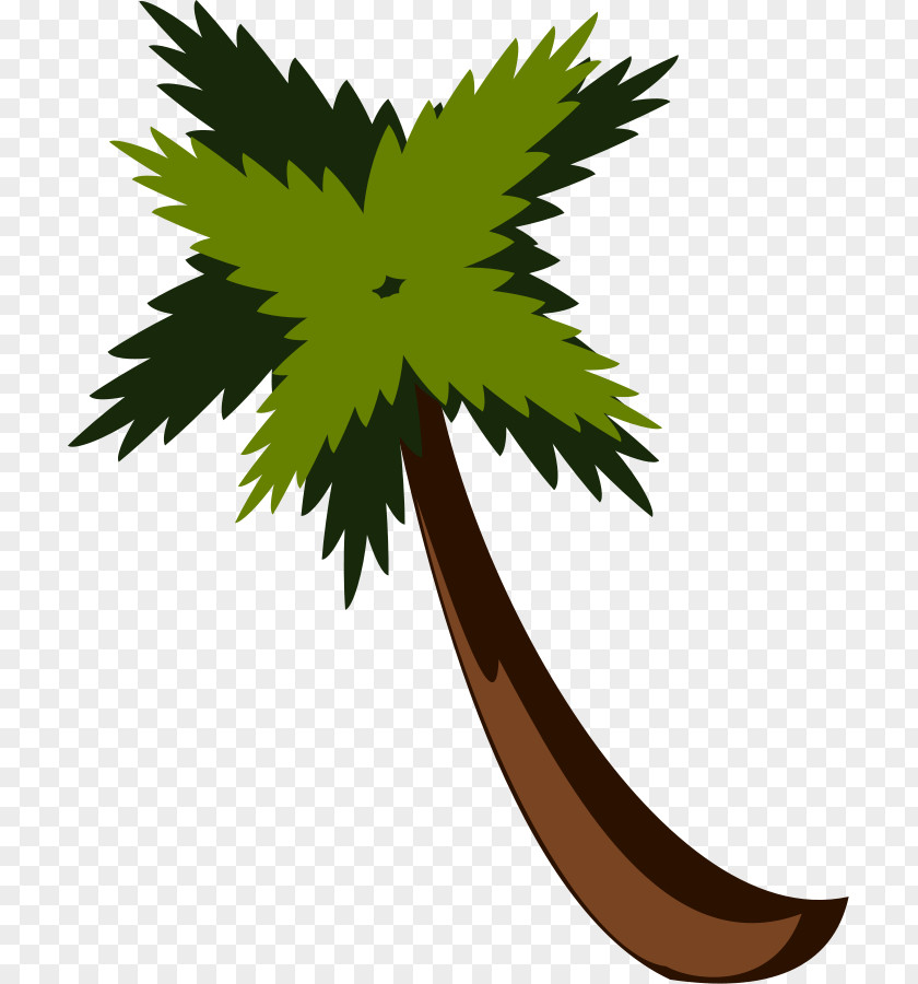 Free Vector Trees Arecaceae Content Clip Art PNG