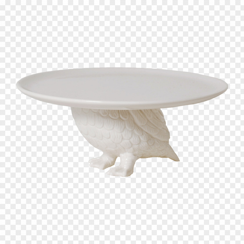 Porcelain Plate Letinous Edodes Tableware PNG