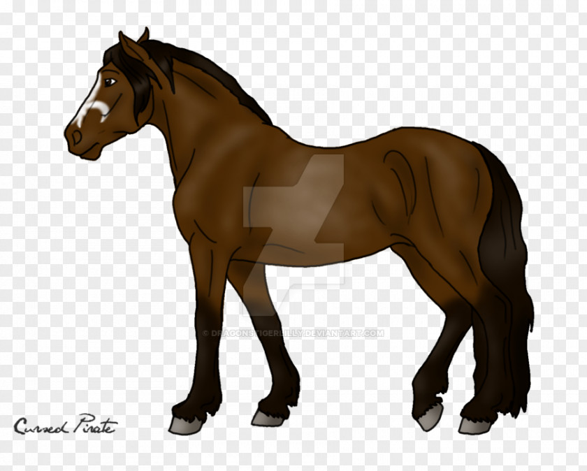 Colored Cross Friesian Stallions Mare Foal Mane Mustang Stallion PNG