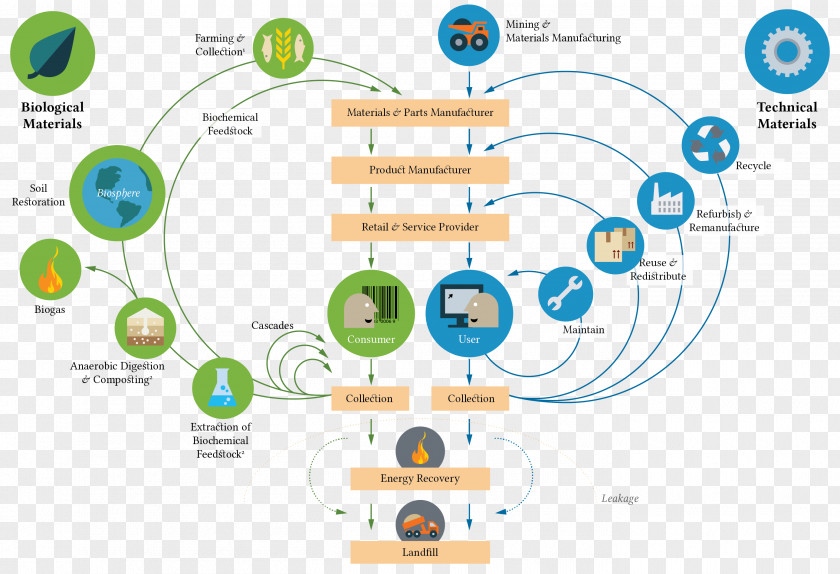 Economy Circular Ellen MacArthur Foundation Sustainability Sustainable Development PNG