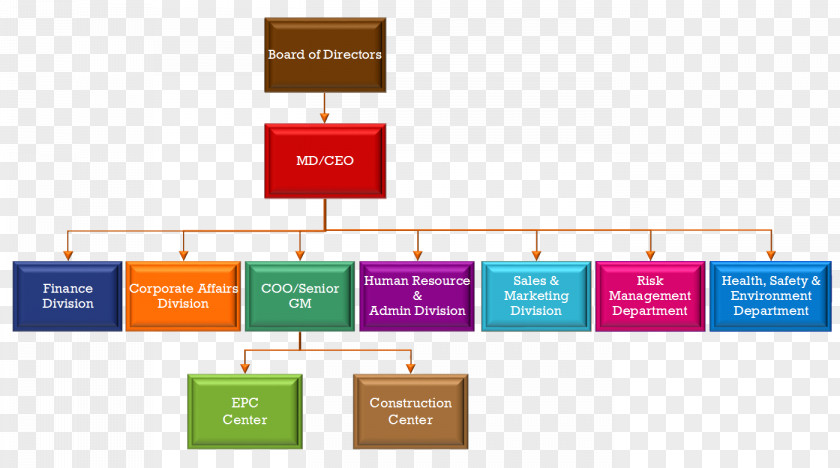 Natural Environment Organizational Chart Diagram Chief Executive Management PNG