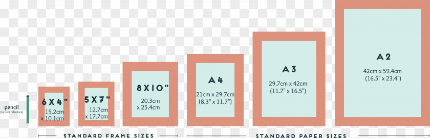 Real Estate Size Chart Graphic Design Brand PNG