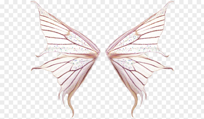 Creative Pink Butterfly Wings PNG