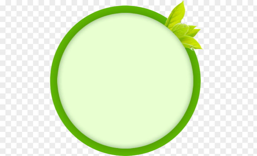 Green Circle Download Computer File PNG