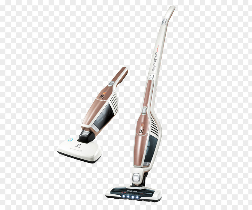 High Quality Materials Vacuum Cleaner Electrolux Ergorapido Ultra+ EL1022A Dermatophagoides Pteronyssinus PNG
