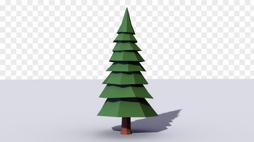Pine Tree Fir Spruce Scots Conifers PNG