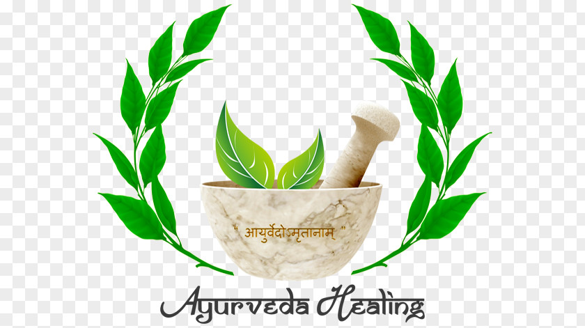 Health All India Institute Of Ayurveda, Delhi Ayurvedic Home Remedies National Ayurveda Medicine PNG