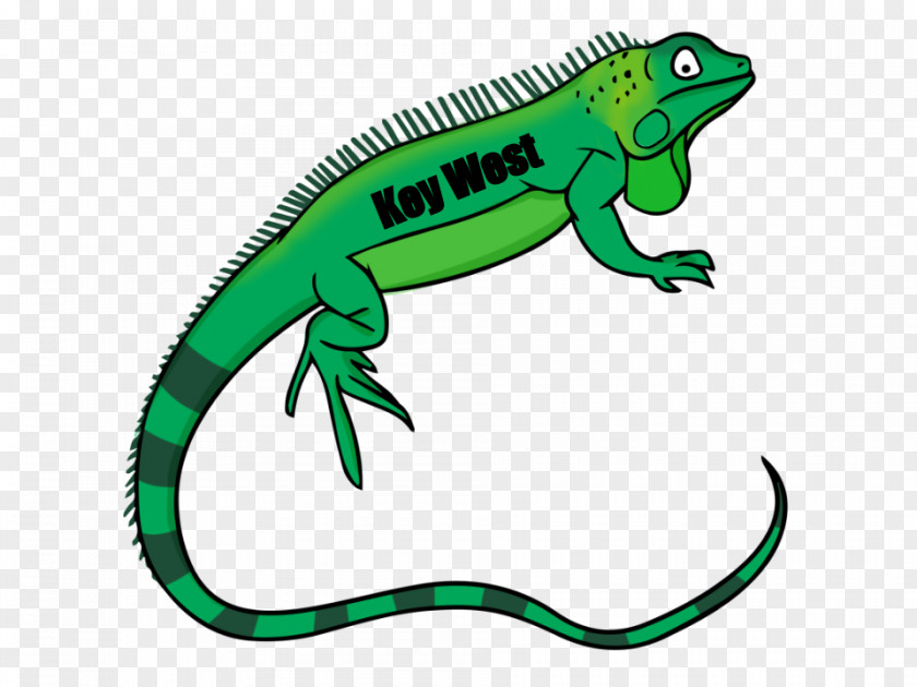 Lizard Green Iguana Clip Art Reptile Openclipart PNG