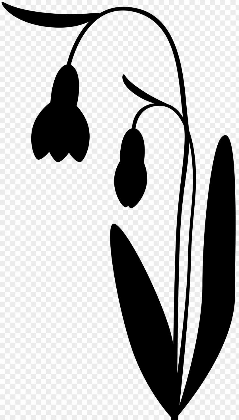 M Clip Art Leaf Line Black & White PNG