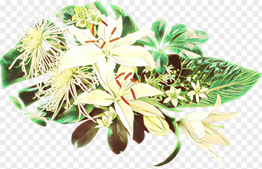 Perennial Plant Passion Flower Family Cartoon PNG