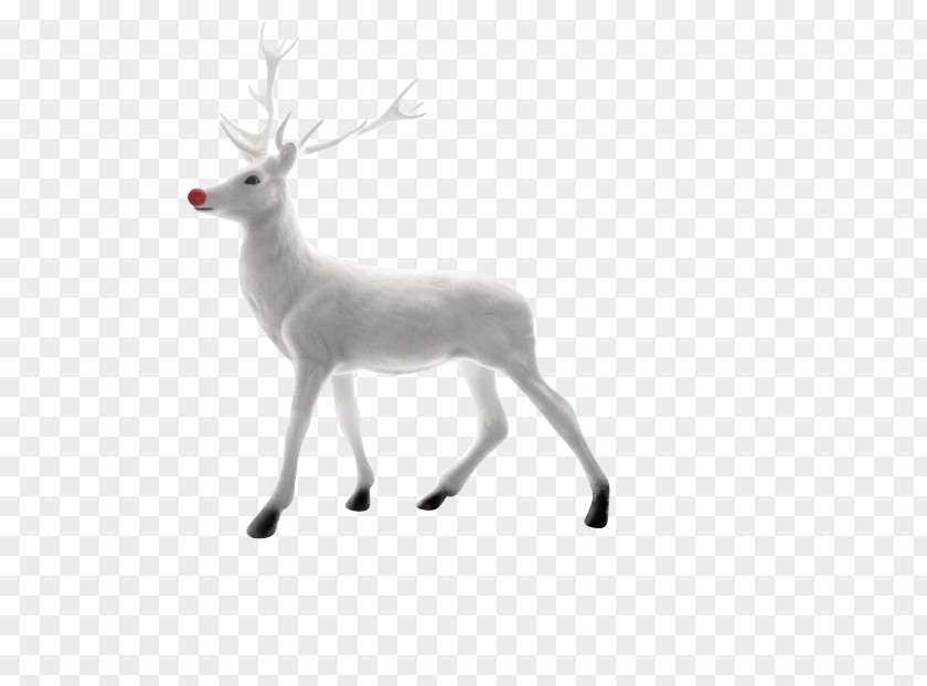 Reindeer Rudolph Santa Claus Christmas PNG