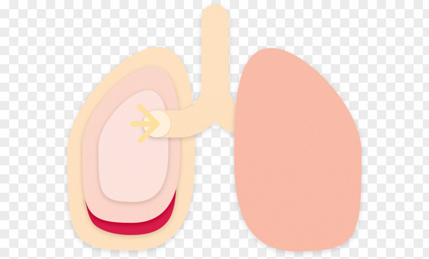 Diversity Bacteria Growth Product Design Nail PNG