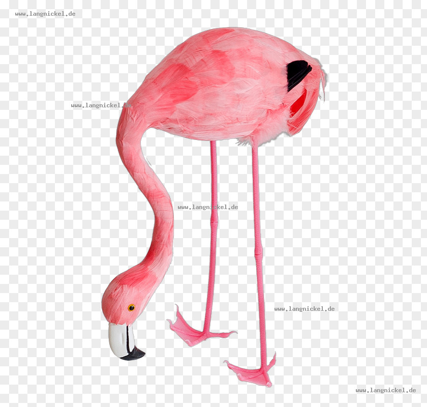 Flamingo Bilder Comic Flamingos Beak Hotel Metal Lamp PNG