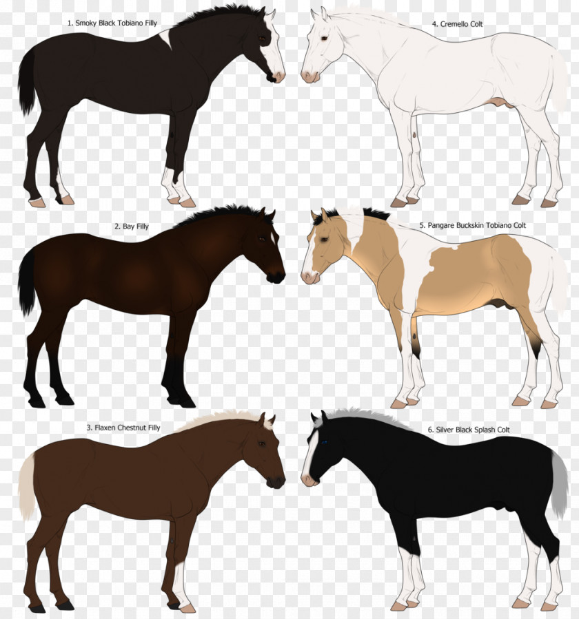 Mustang Pony Silhouette PNG