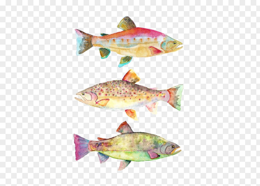 Painting Watercolor Art Koi Fish PNG