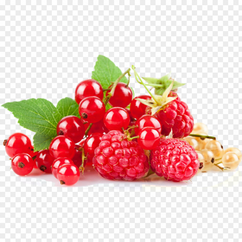 Raspberry Berries Free Pull Material Redcurrant White Currant Blackcurrant Gooseberry PNG